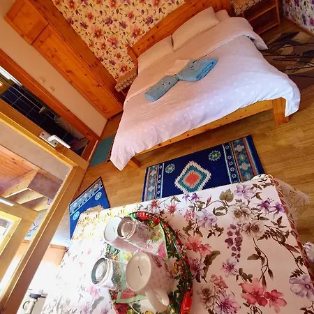 Casa Lav Guest house Sinaia